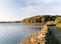 Autumn at Anglezarke