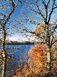Lower Rivington in autumn